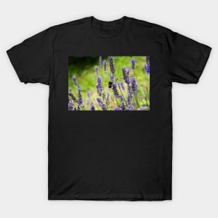 Lavender Bumblebee T-Shirt